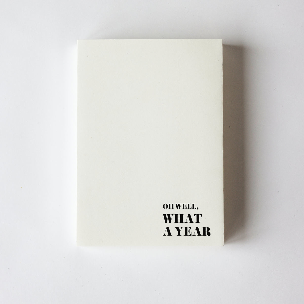 DAGBOG: IN A YEAR FROM NOW