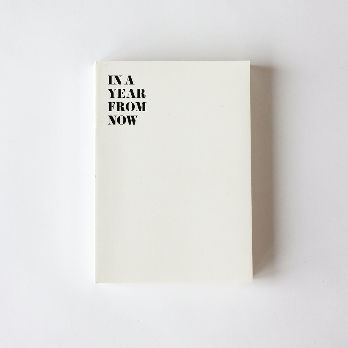 DAGBOG: IN A YEAR FROM NOW