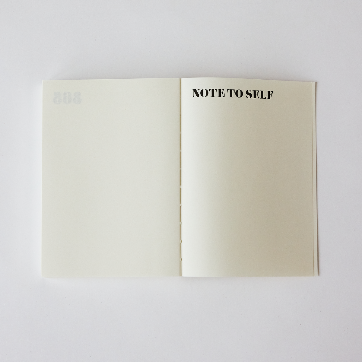 DAGBOG: IN A YEAR FROM NOW