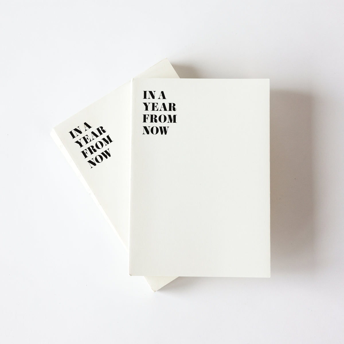 DAGBOG: IN A YEAR FROM NOW