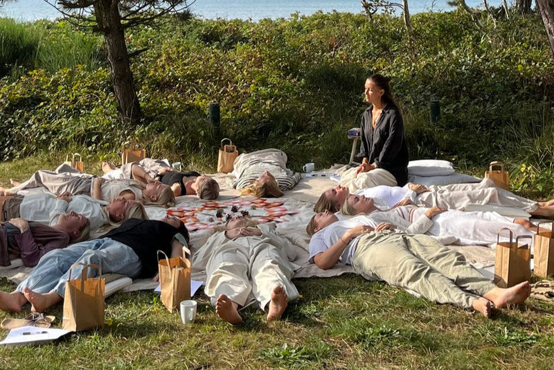 WORKSHOPS RUNDT I DK